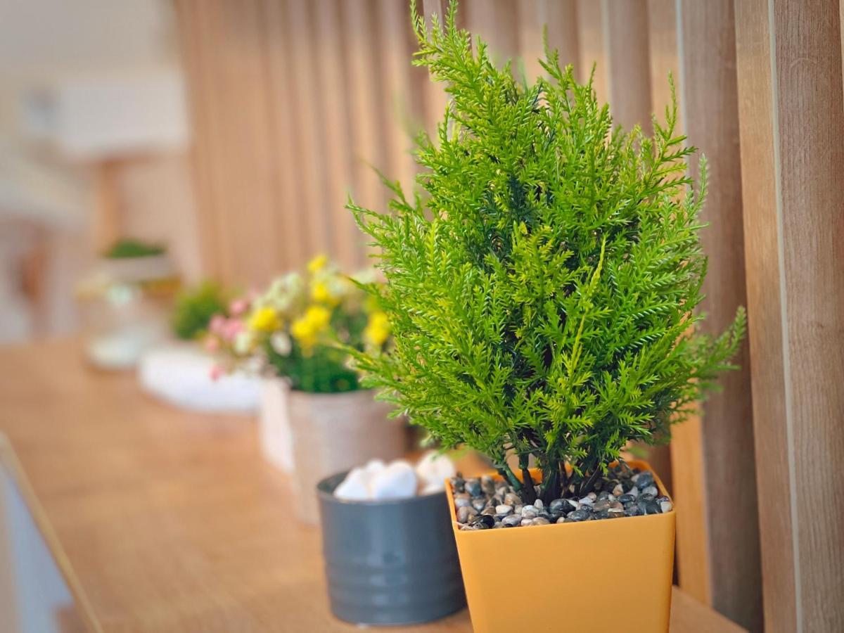 Art Apartment II เตอร์กู-มูเรช ภายนอก รูปภาพ